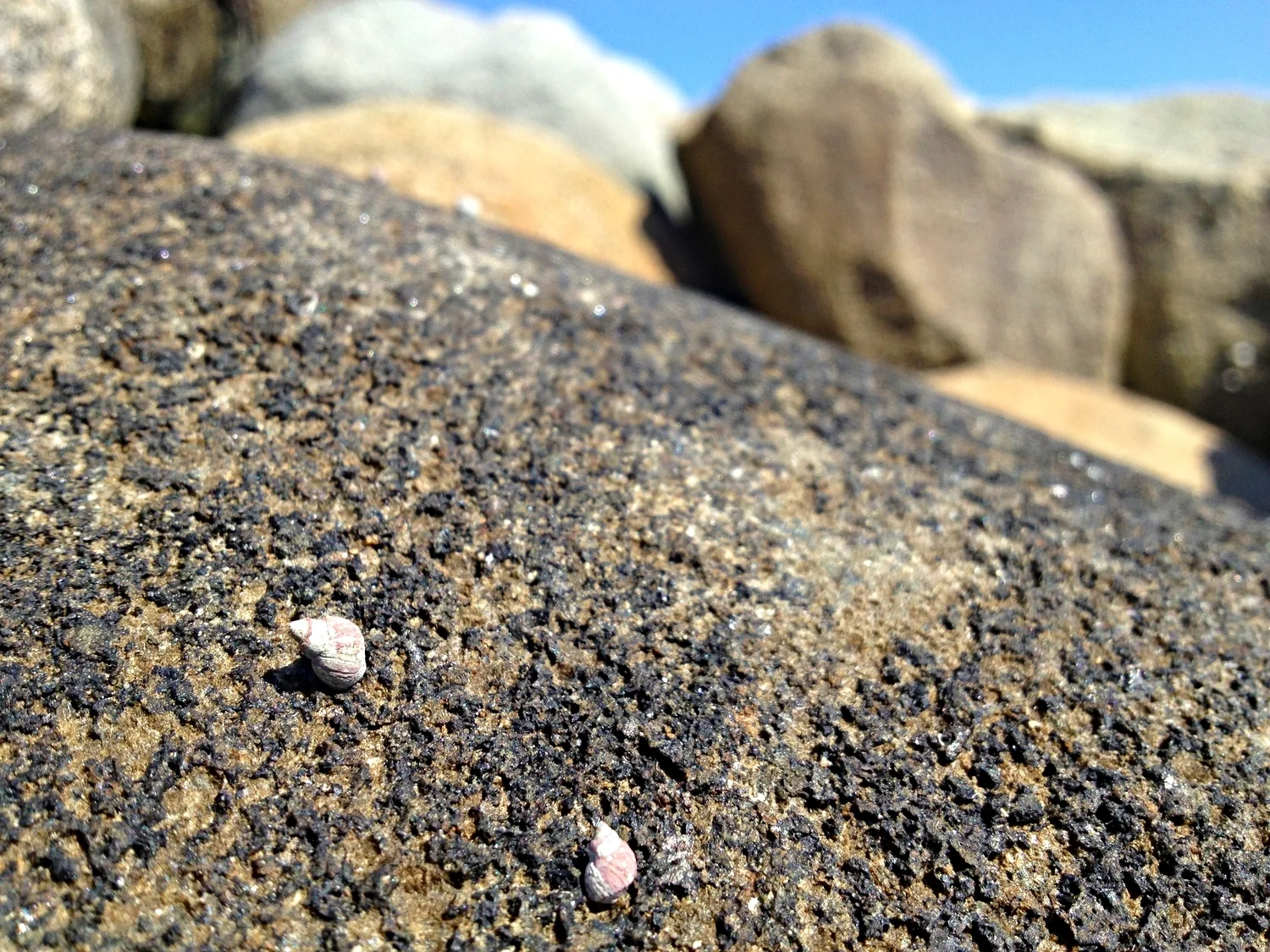 What's Your Intention?