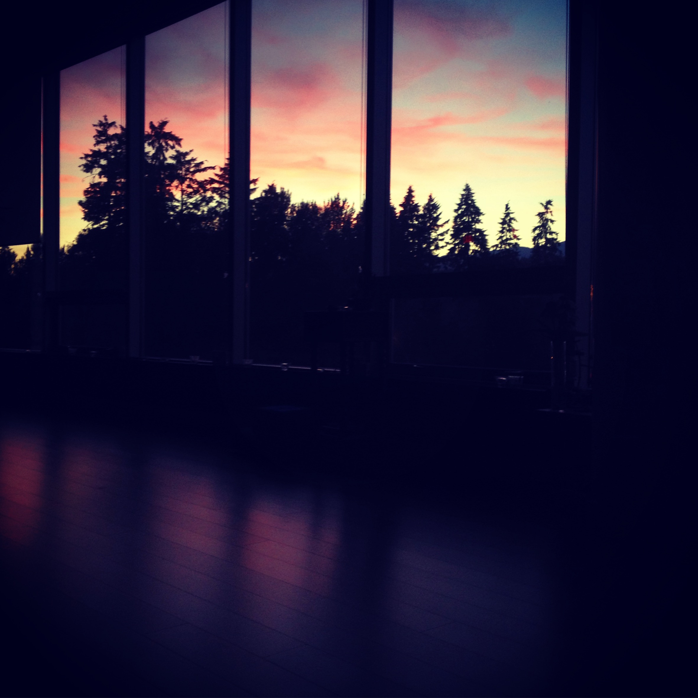 Yoga Nidra and the Nervous System