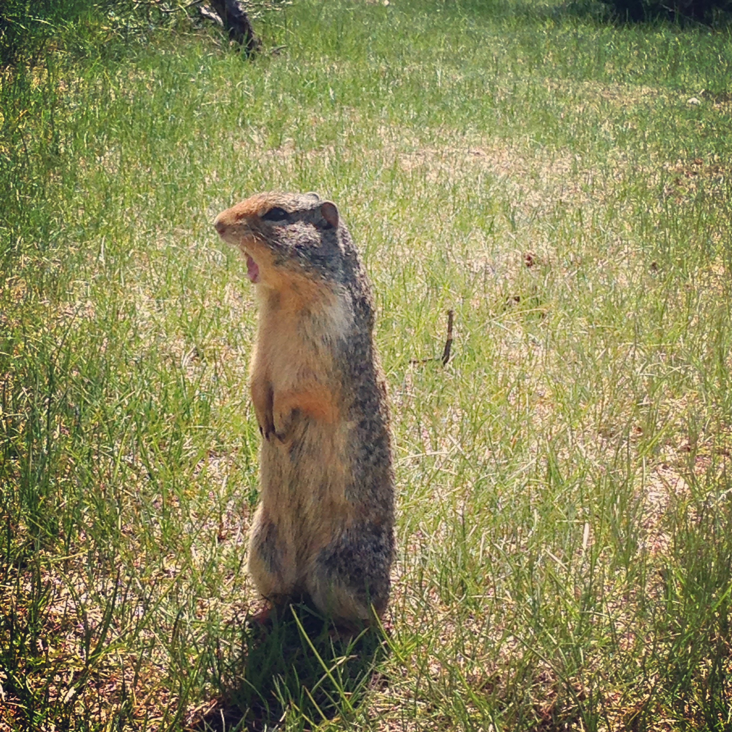 Slow down! ;)