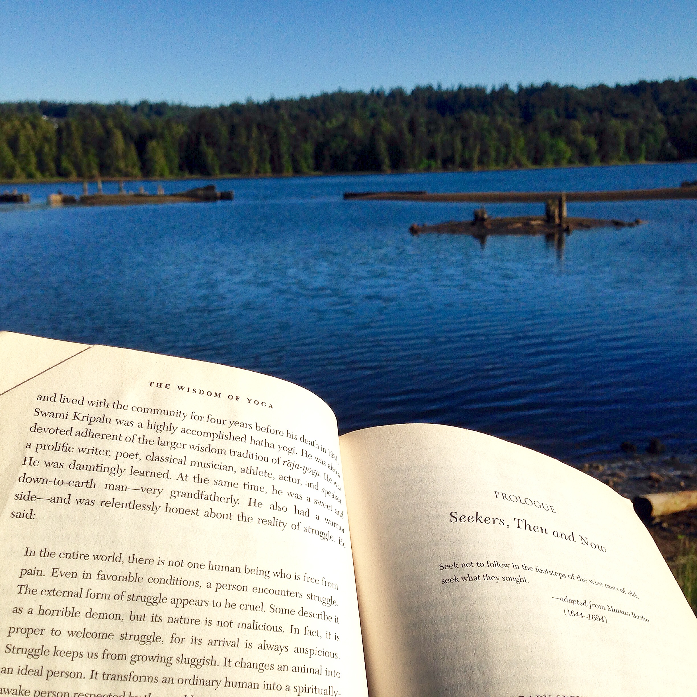 Summer Reading.jpg
