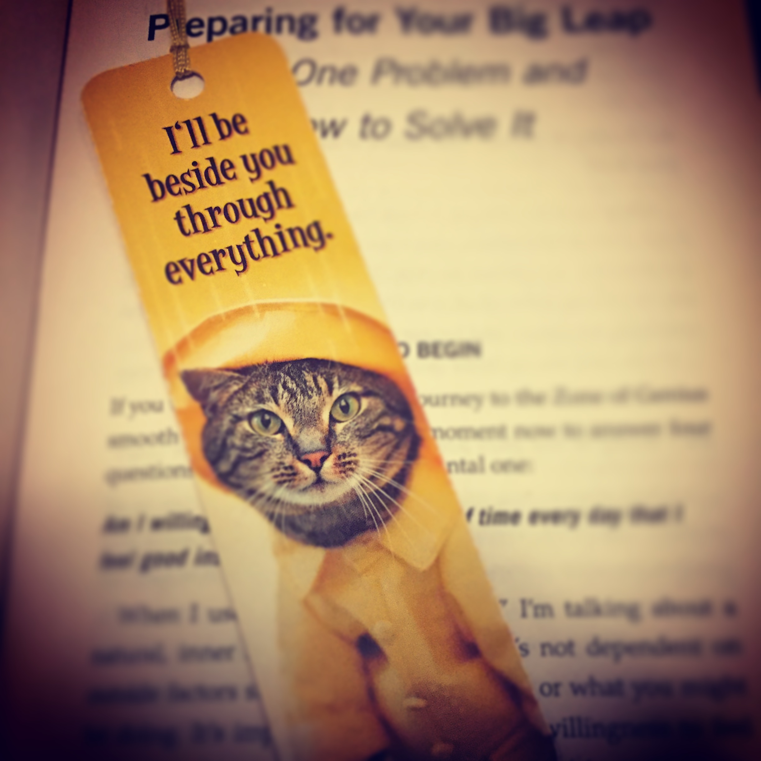 Spring Cleaning Reading List