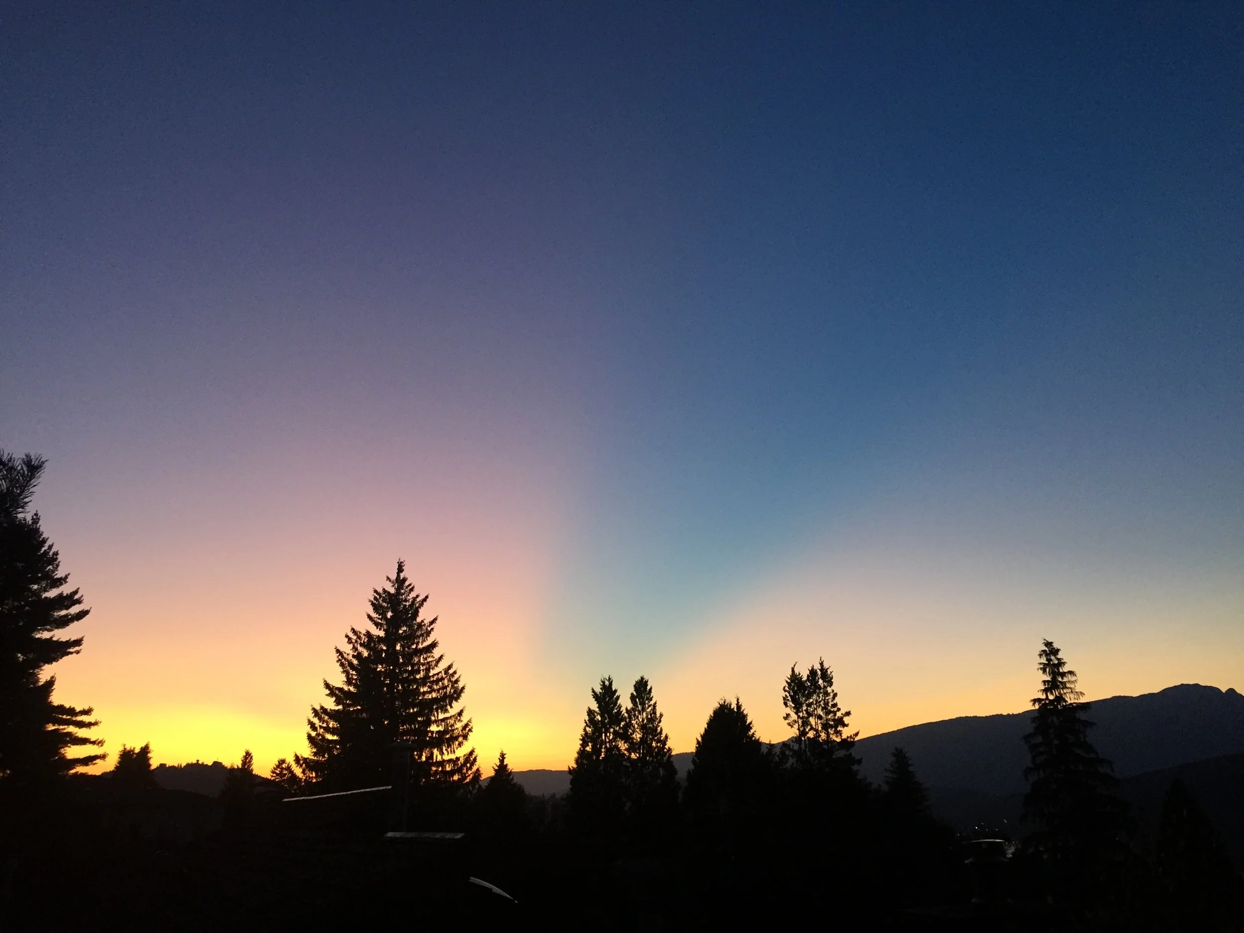 What Are You Practicing?