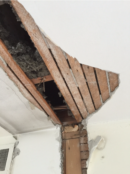House Reno 08.png
