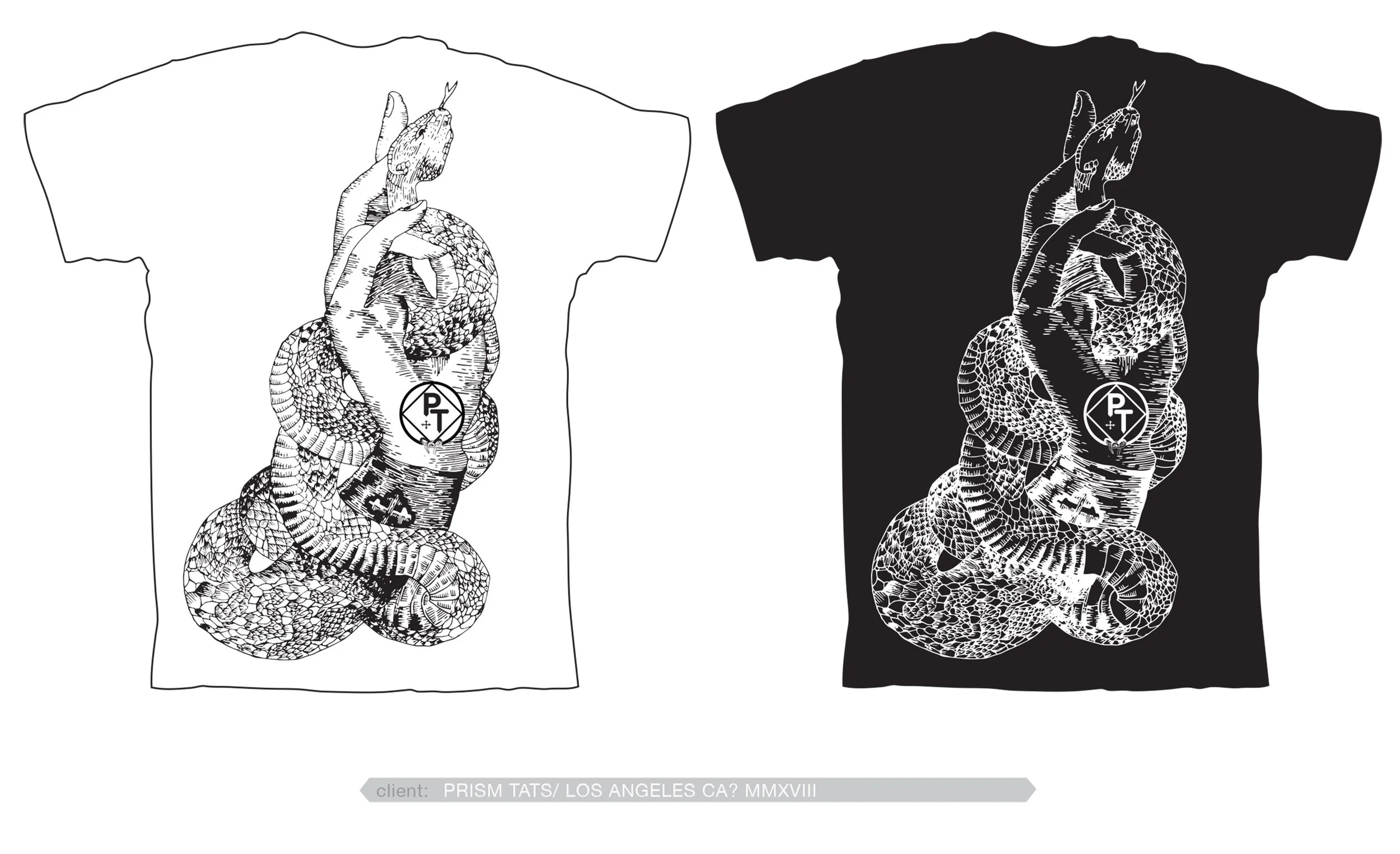 DESIGN_TEMPLATE_website_PT snake- this one 1.jpg
