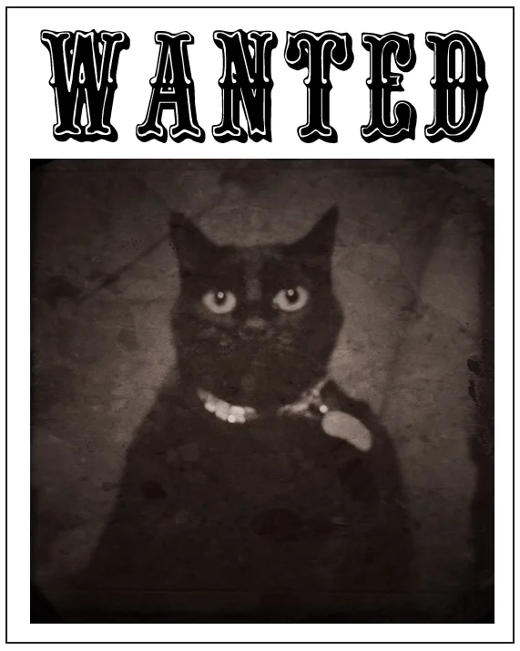 WANTED.jpg