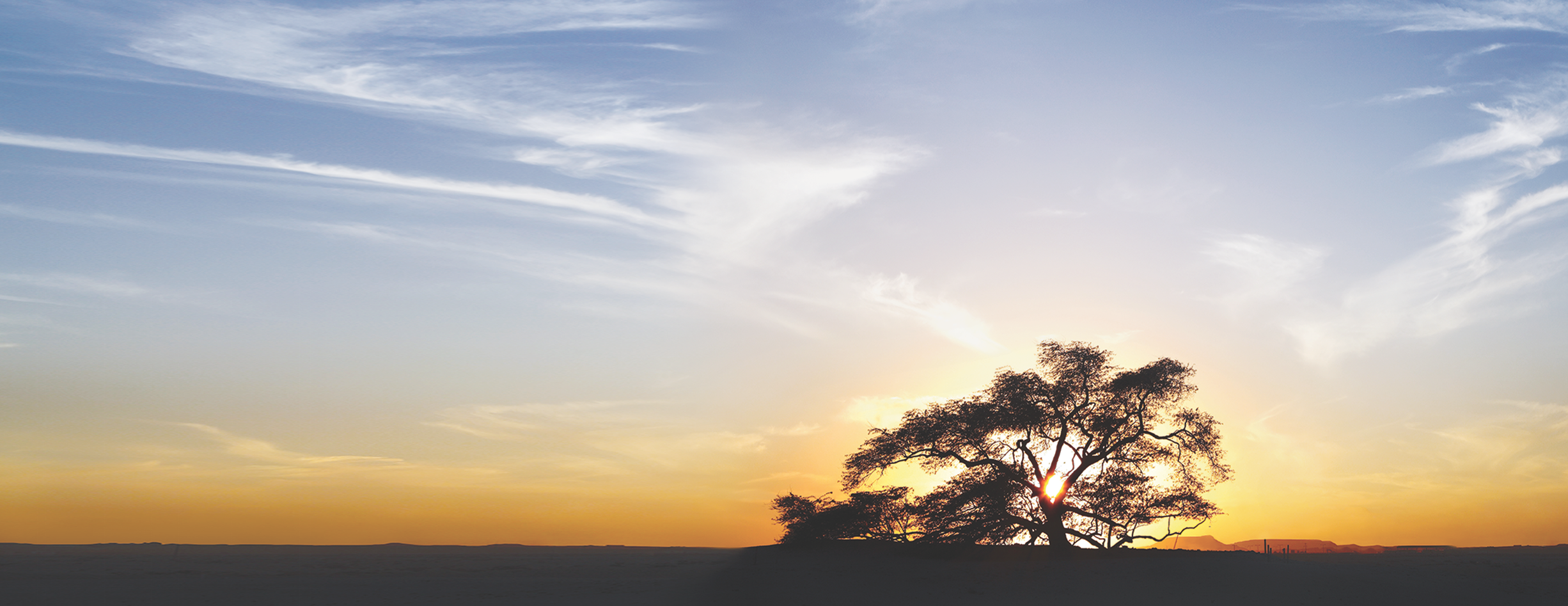 Tamweely Personal Finance - Product Branding and Advertising