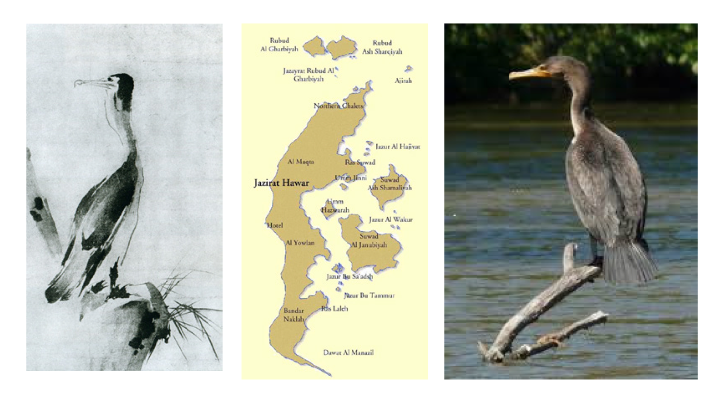 Screen Shot 2016-08-31 at 17.00.03.png