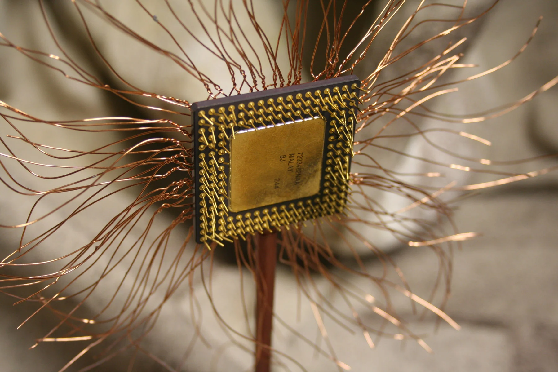 Project8_solar_plexus (1).jpg