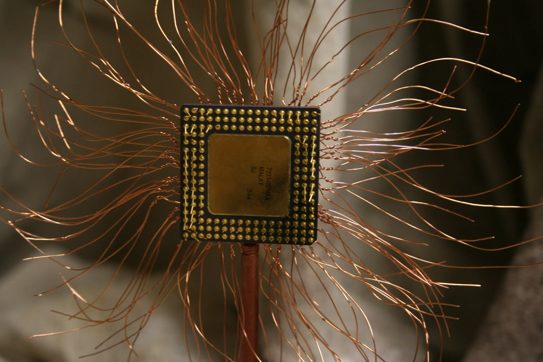 Project8_solar_plexus (2).jpg