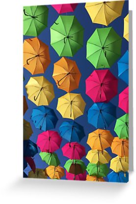 Florida umbrellas cards