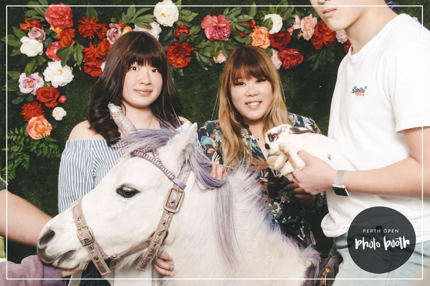 ELAINA'S 21ST BIRTHDAY PASSWORD: PROVIDED ON FACEBOOK - ALL LOWERCASE -