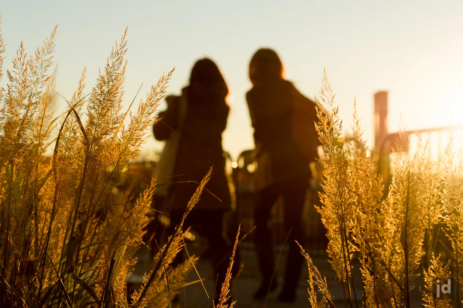 New_York_Highline_Photography_Jason_Davis_Images_006.jpg