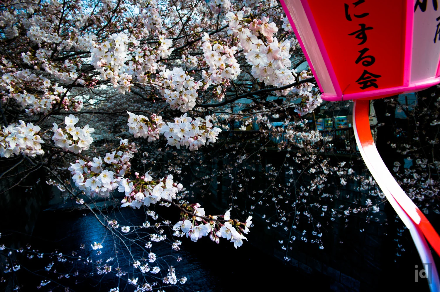 Japan_Photography_Jason_Davis_Images_019.jpg