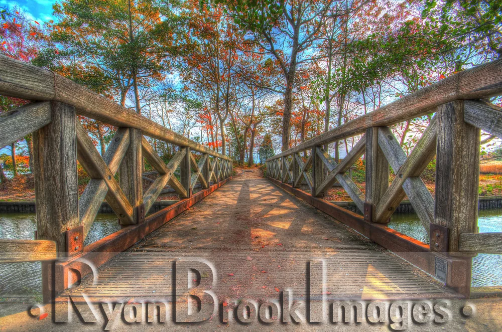 bridge straight on.jpg