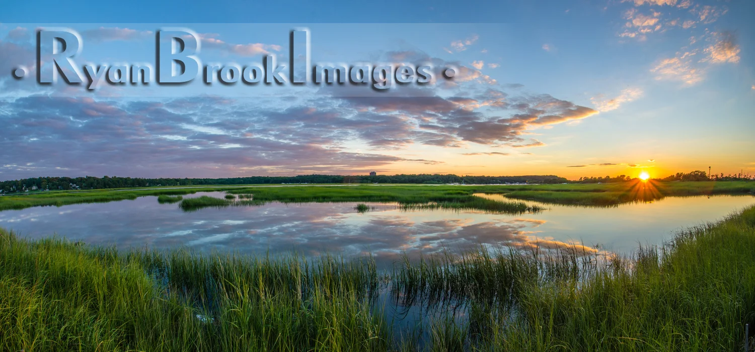 panaramic marsh.jpg