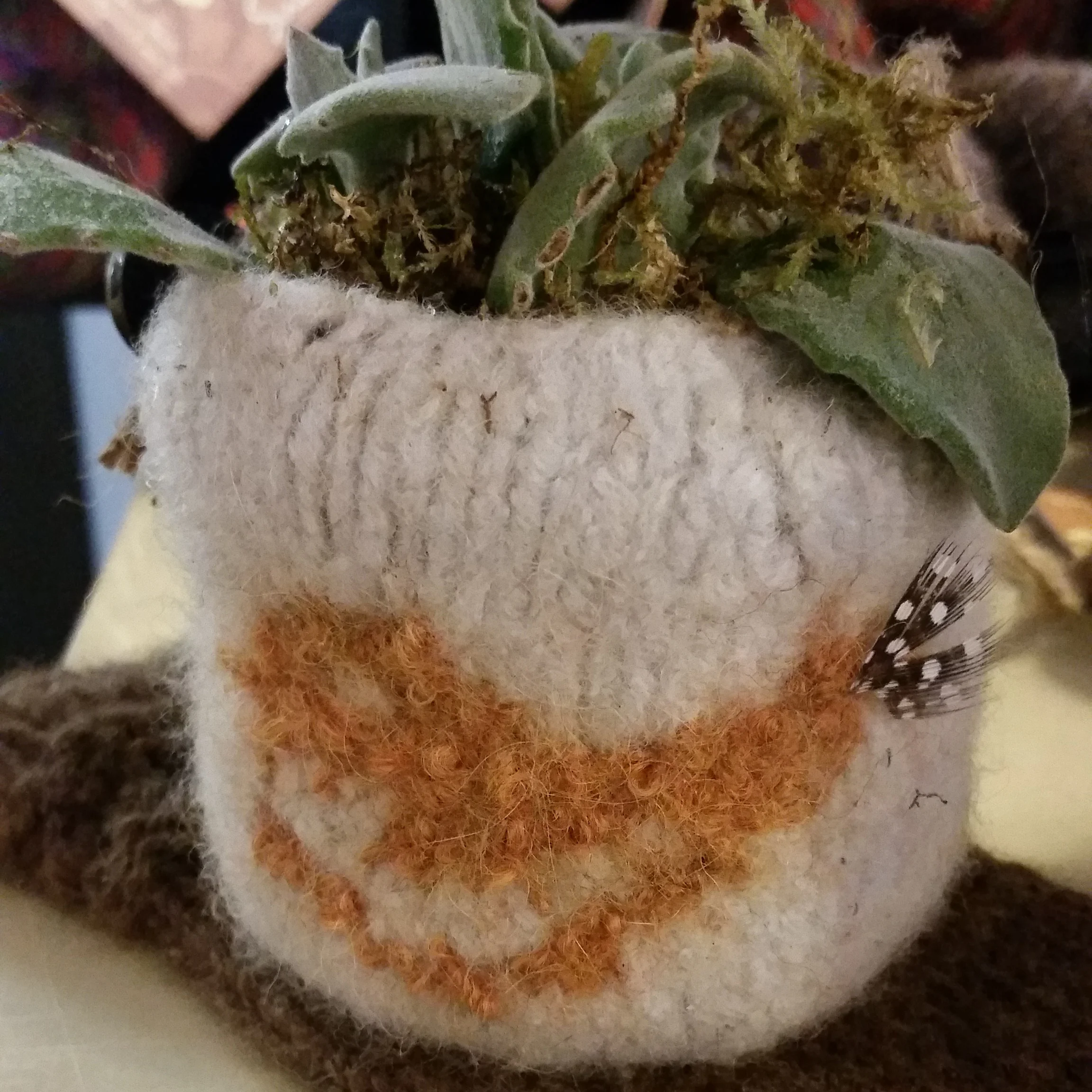 Little Wren Felt Pod Knitting Class