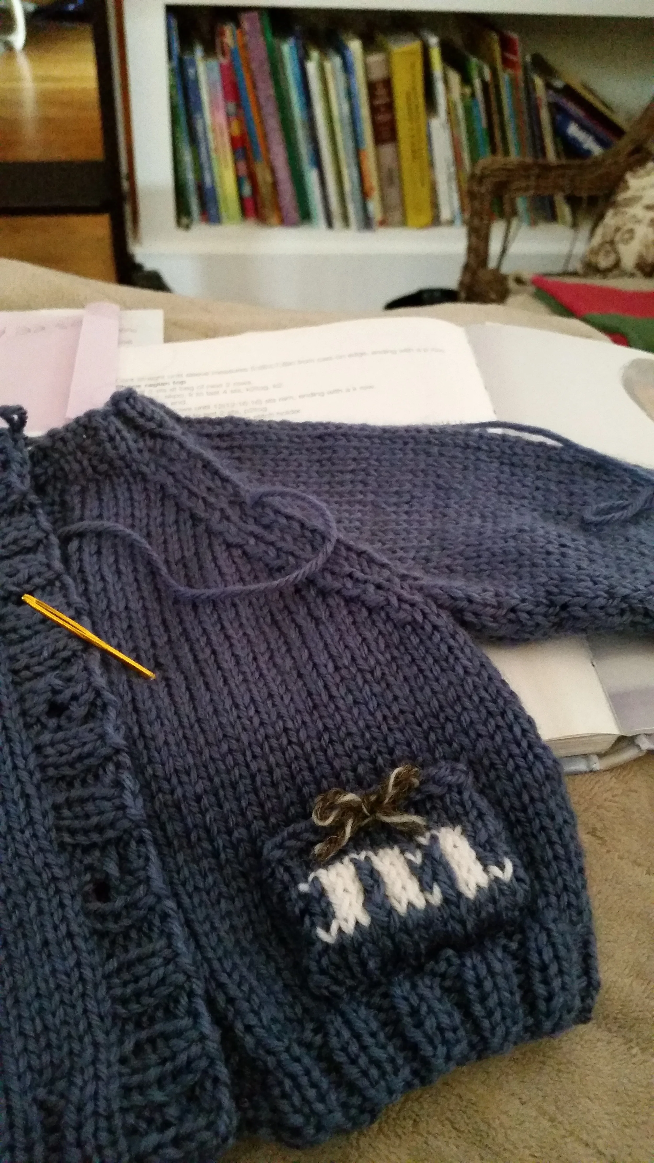 Baby Sweater - Fall Class Knit Project