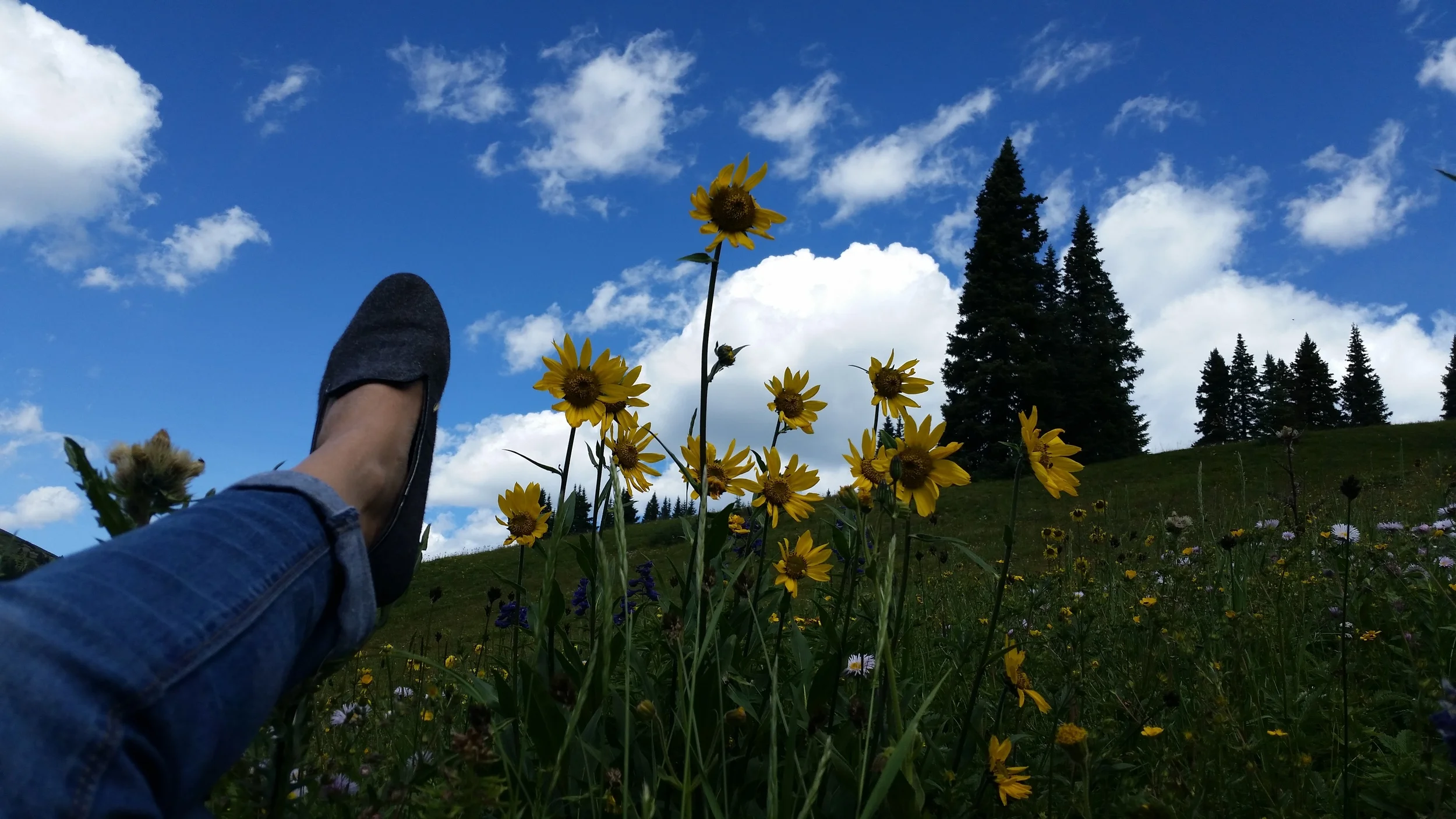 Talkin' to Mother Nature