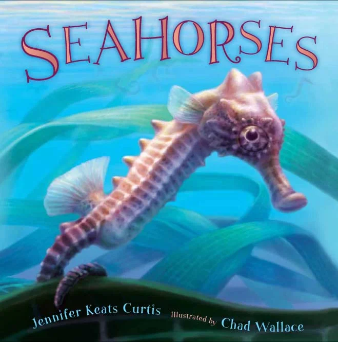 SeaHorses.jpg