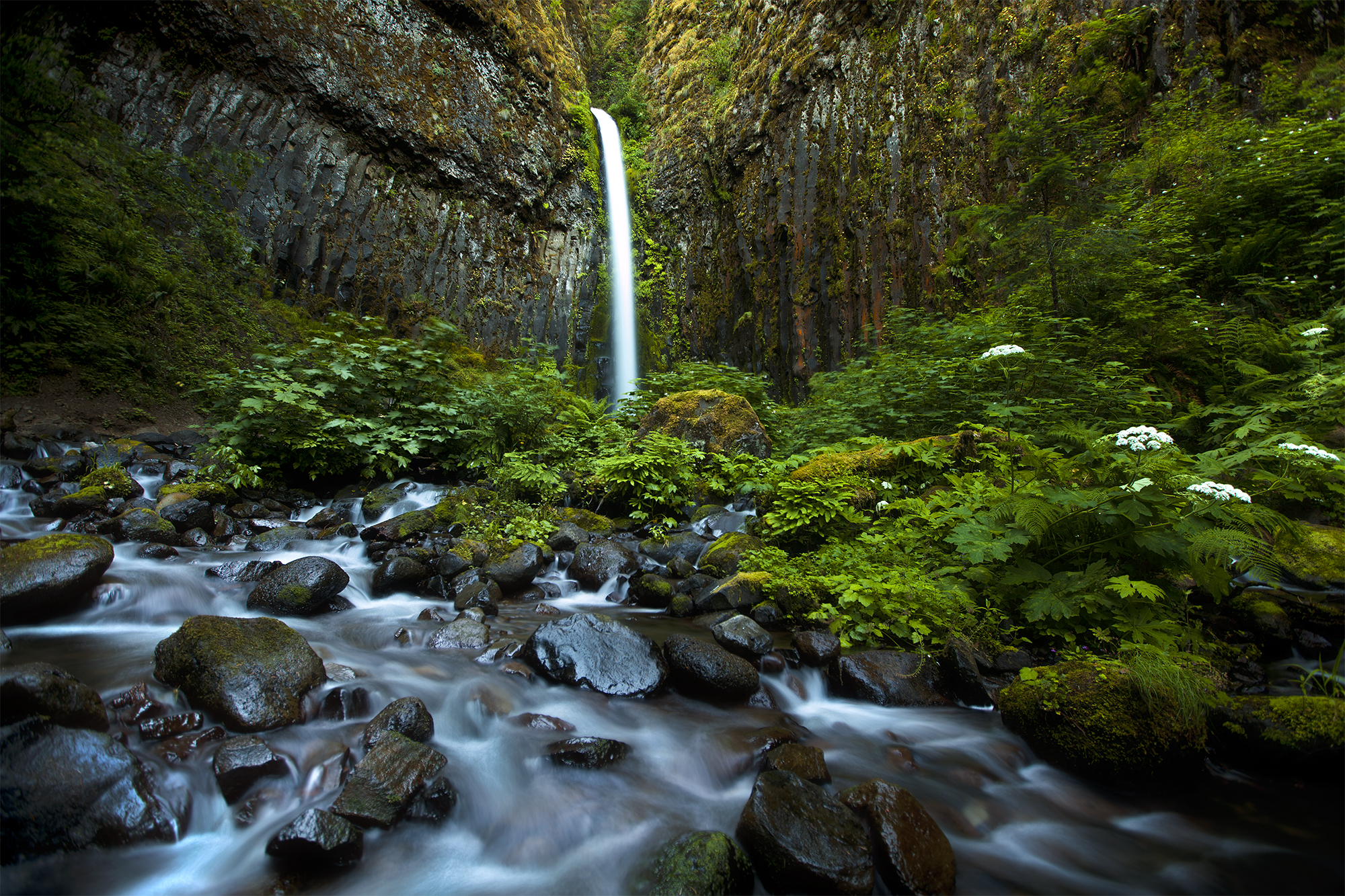 Dry Creek Falls