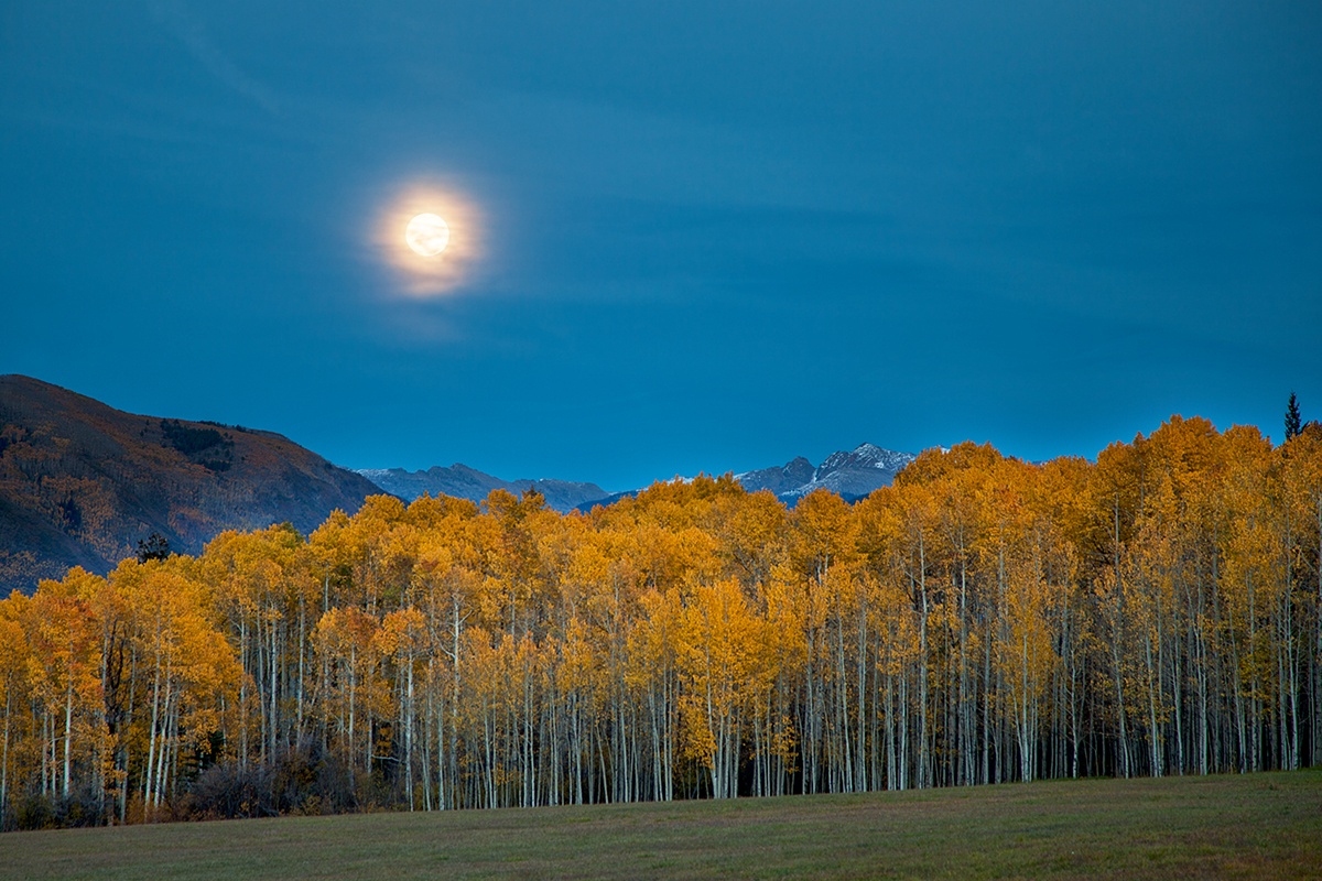 Moonrise