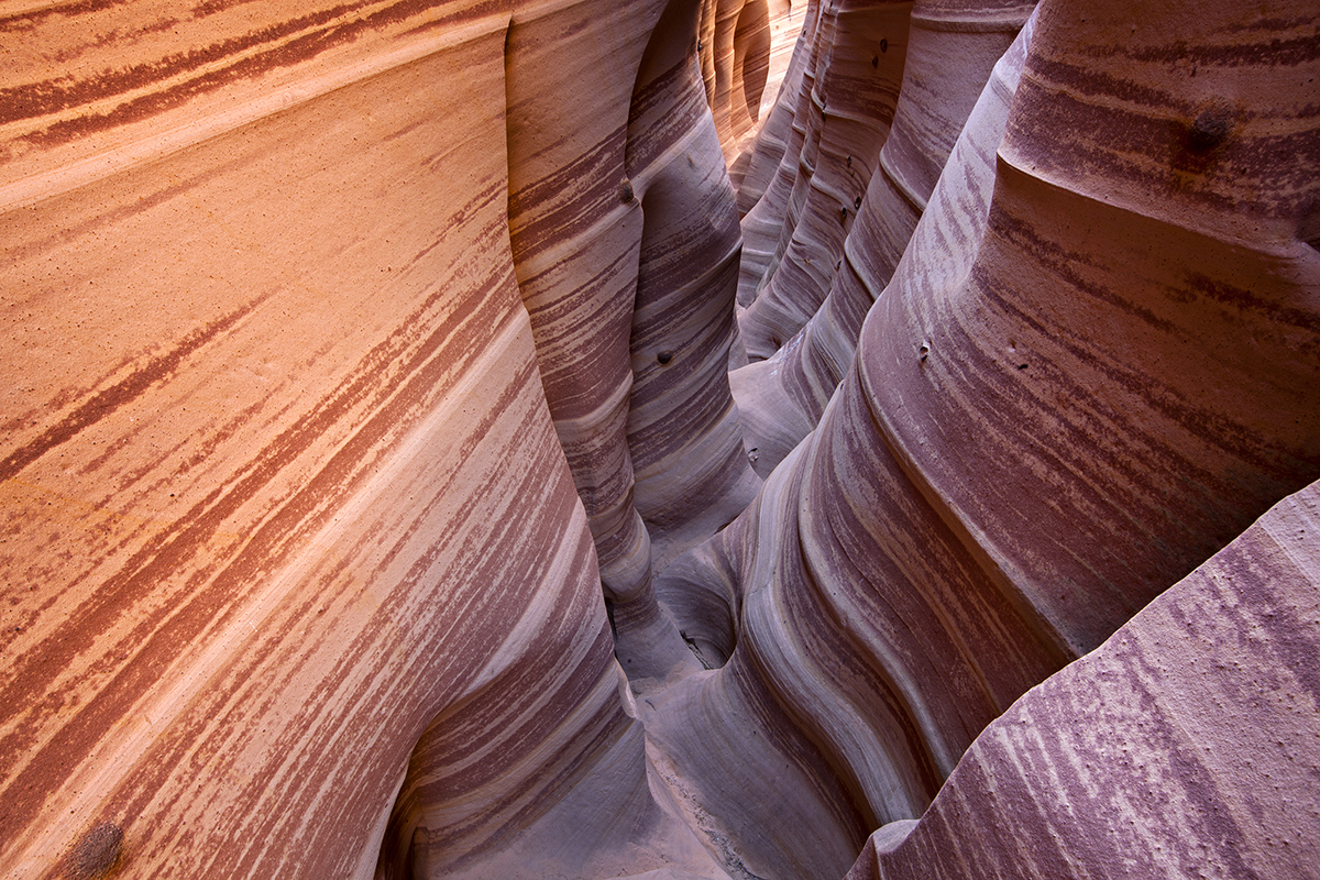 Zebra Canyon web.jpg