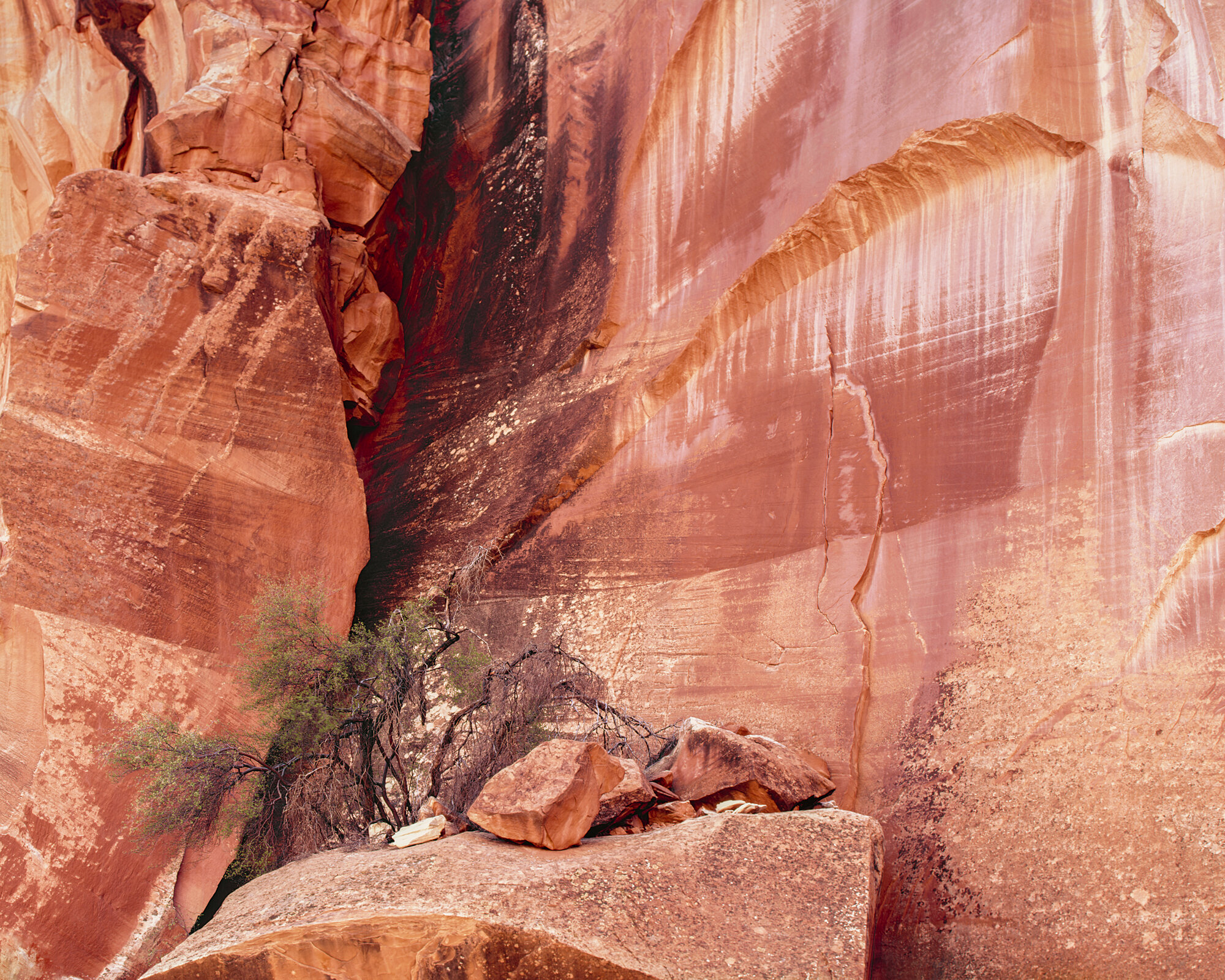 Spring Canyon - Capitol Reef