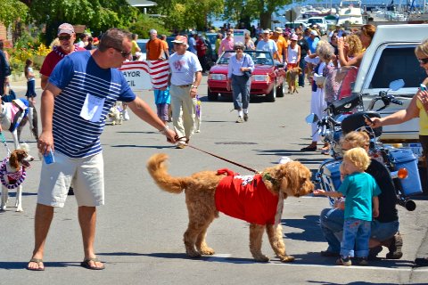 Sniffin' at the dog parade.jpg