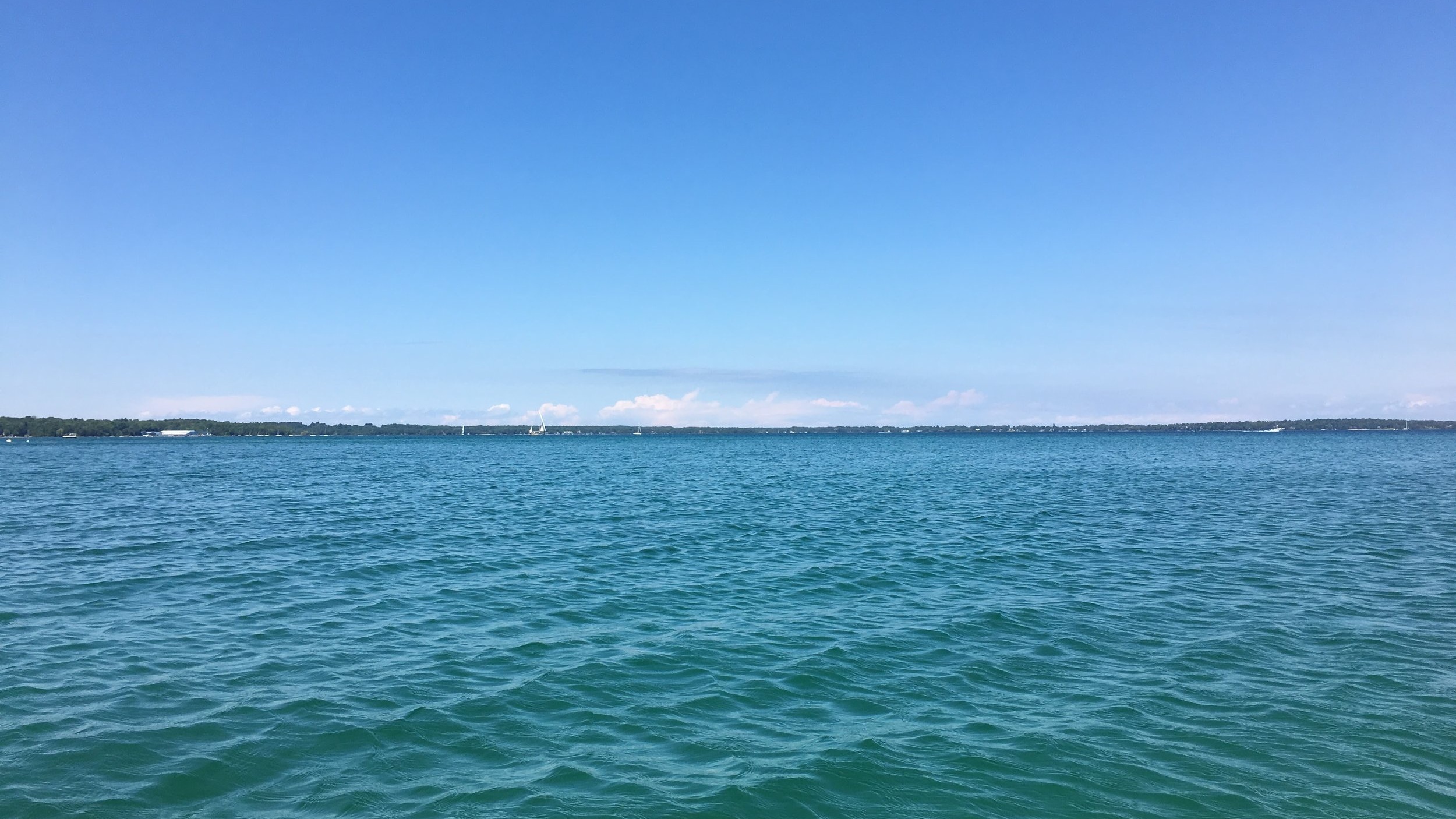 IMG_0082.jpg