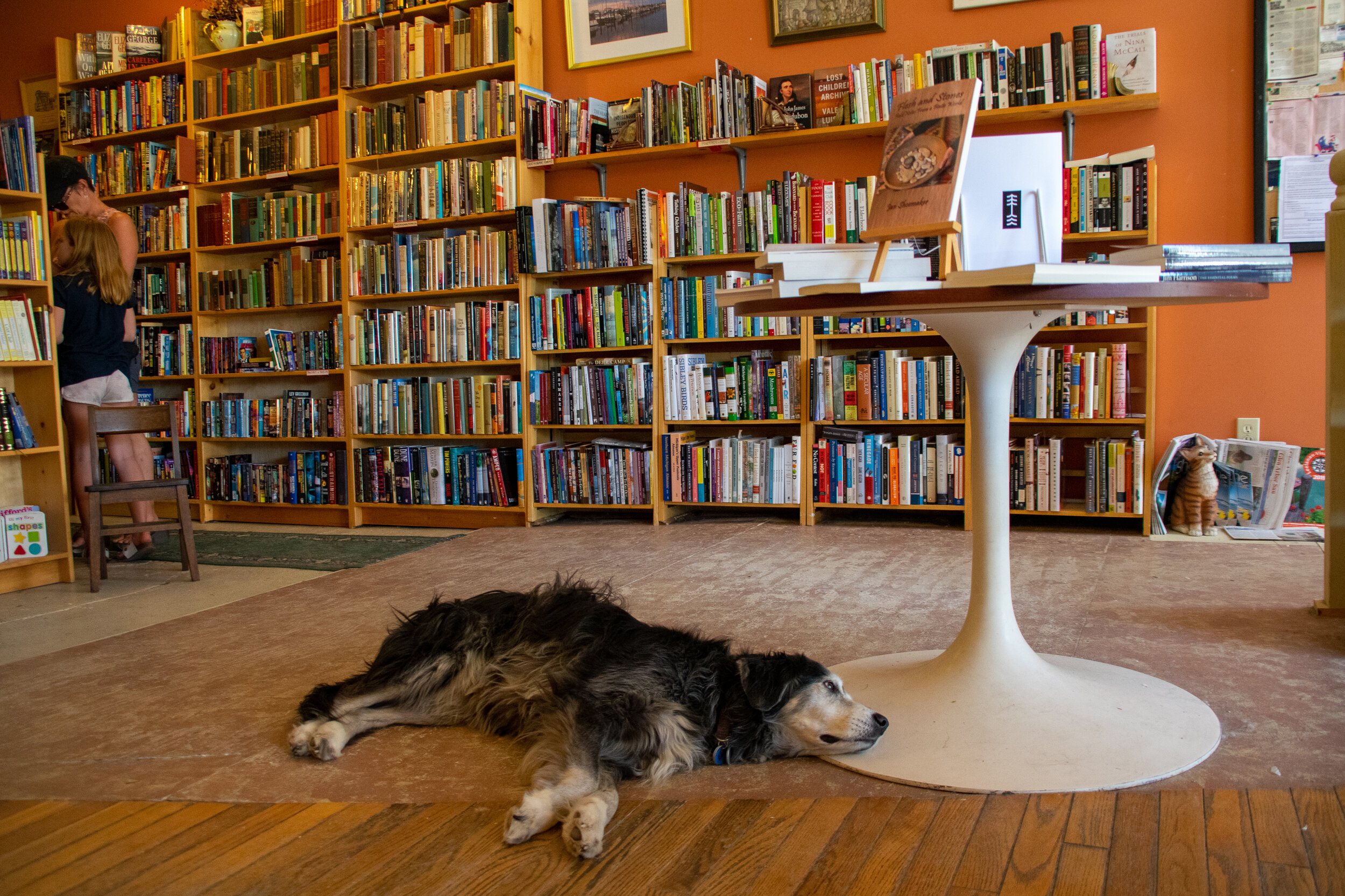 Dog Ears Books