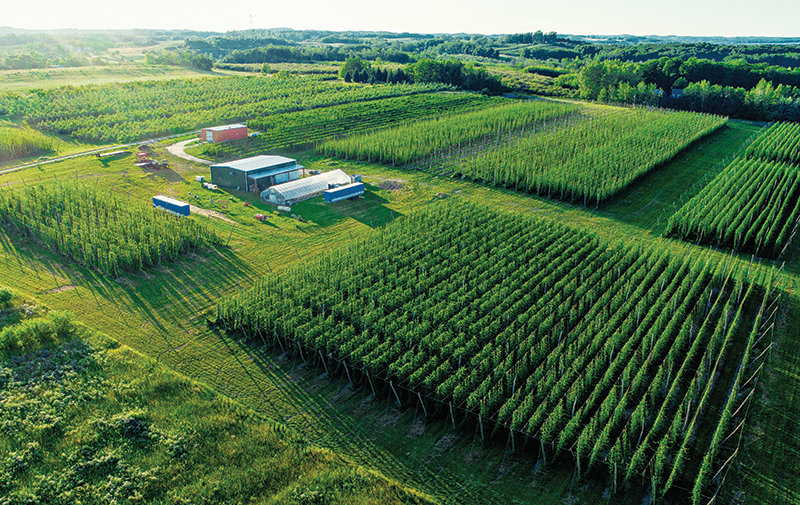 Michigan-Grown-Farm.png