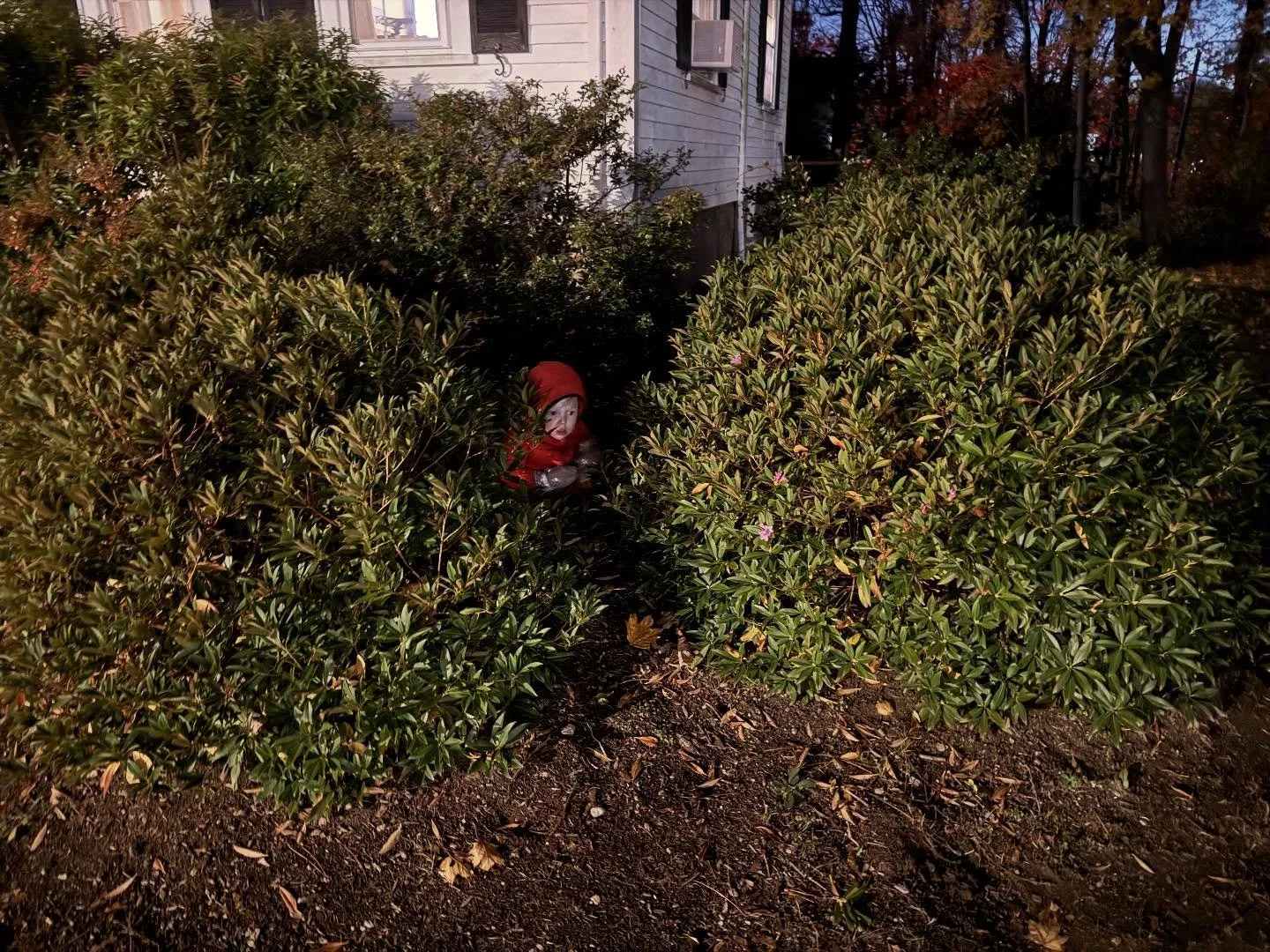 &ldquo;Are you pooping or are you hiding?&rdquo;