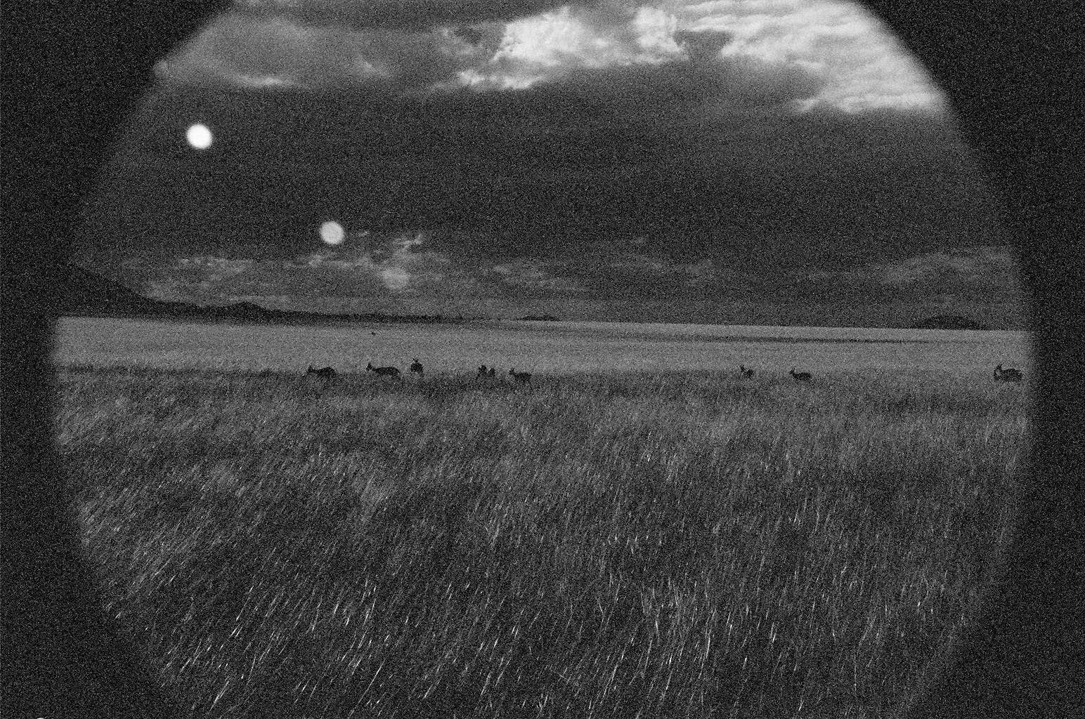  35mm Black &amp; White Film. Kenya, Africa 