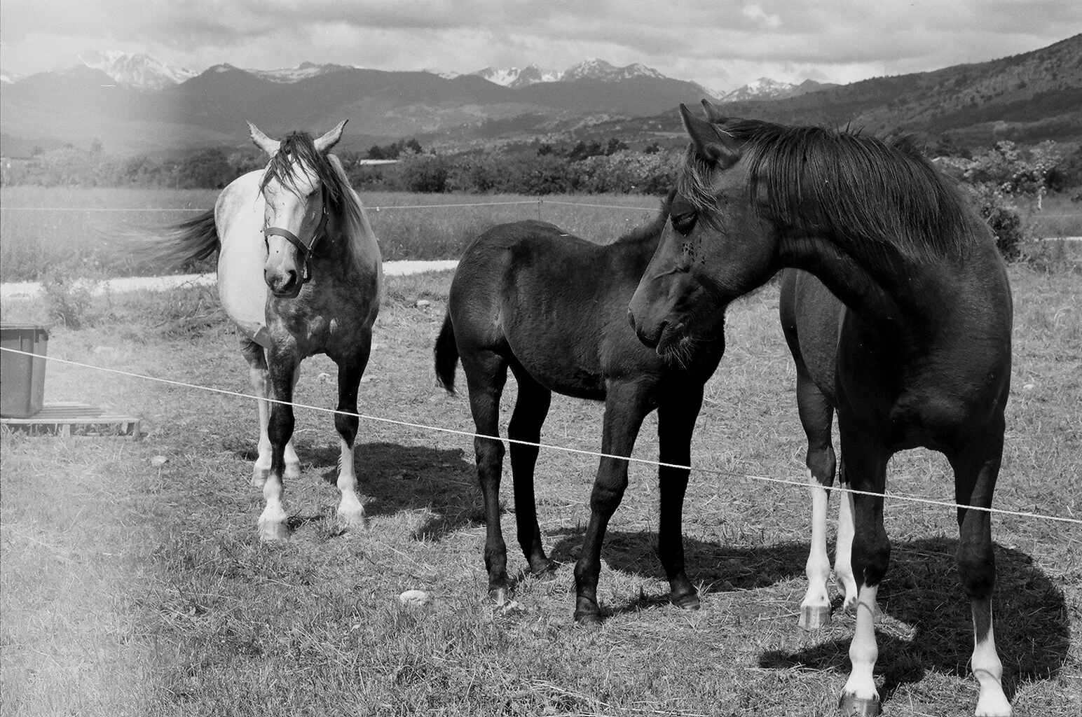  35mm Black &amp; White Film. Abruzzo, Italy 