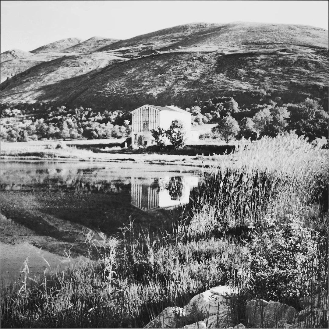 House on the Pond