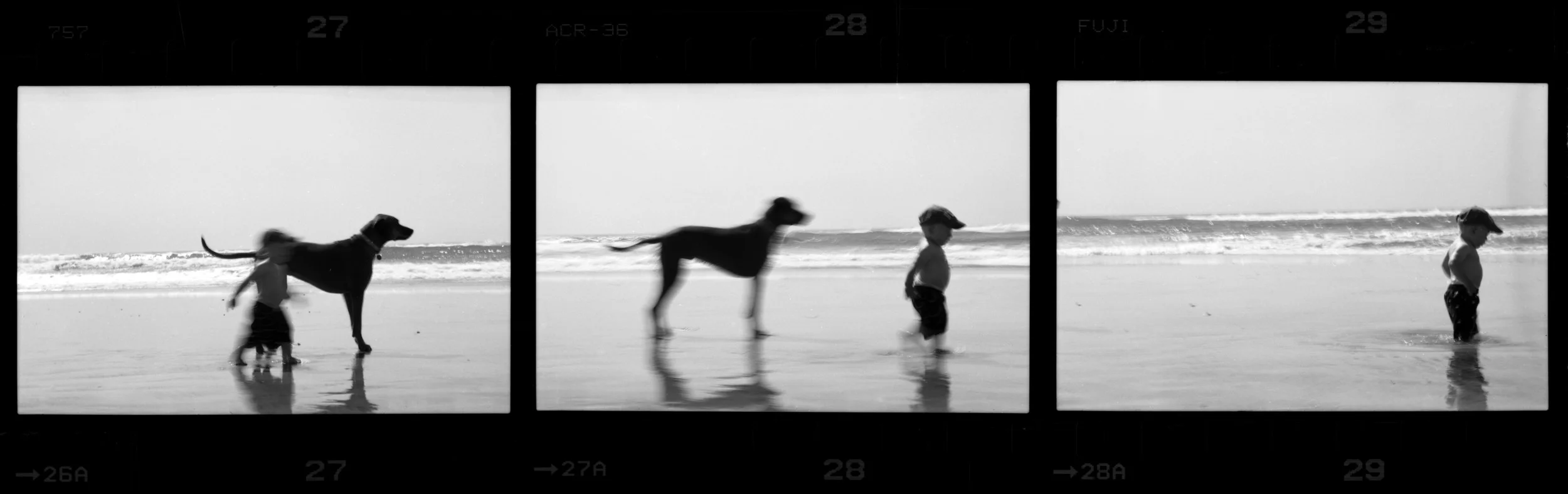 BW 11.5 x36 PRINT boy and dog copy.jpg