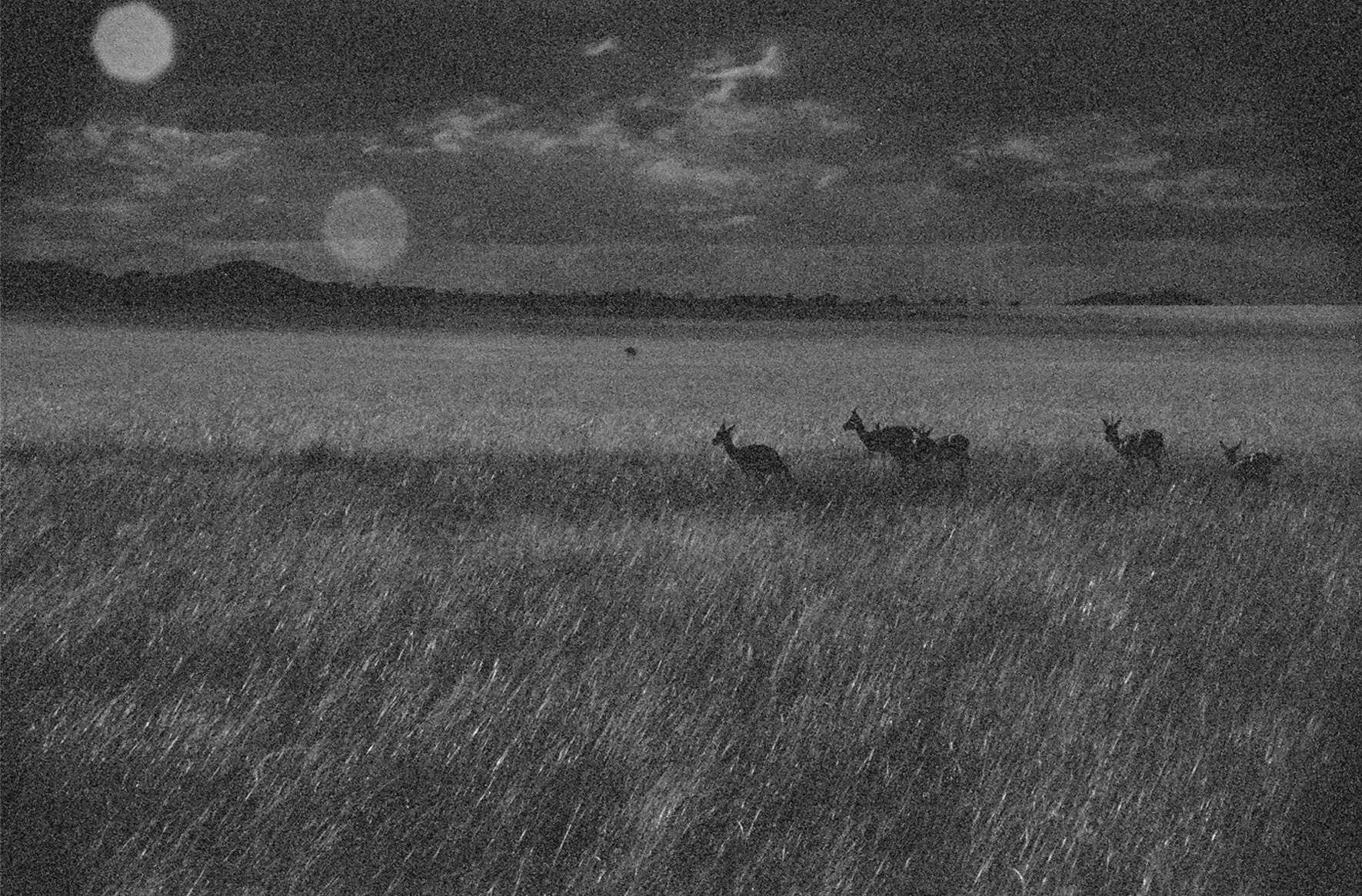 BW PRINT 10.5 x 16 lens flare.jpg