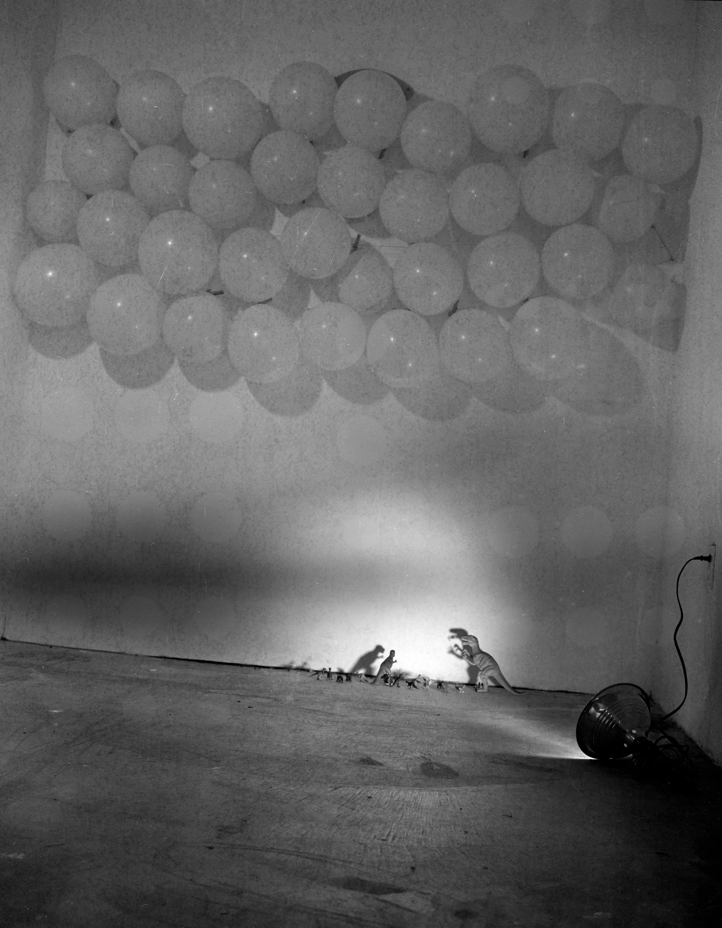 BW PRINTdino baloons.jpg