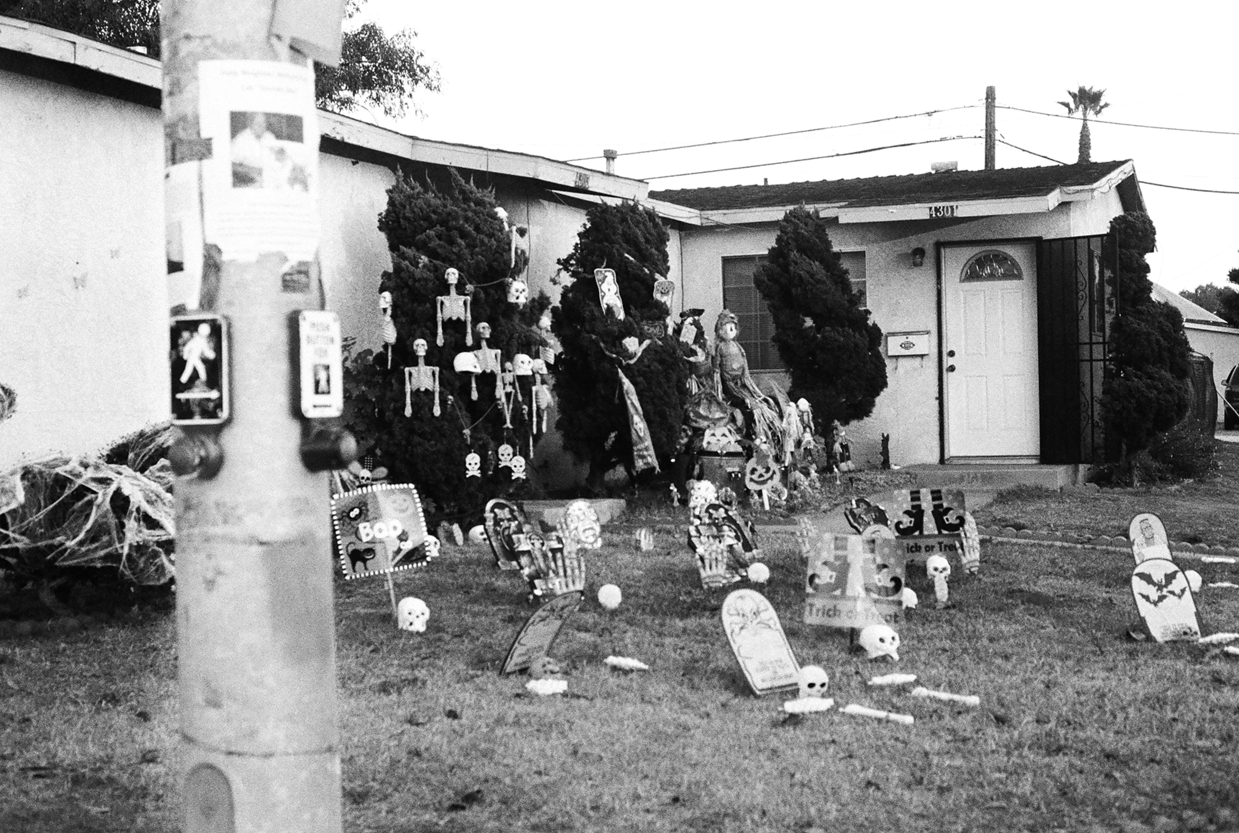  35mm Black &amp; White Film. San Diego, California 