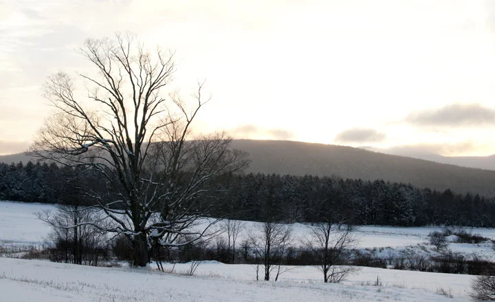 WinterPath06.jpg