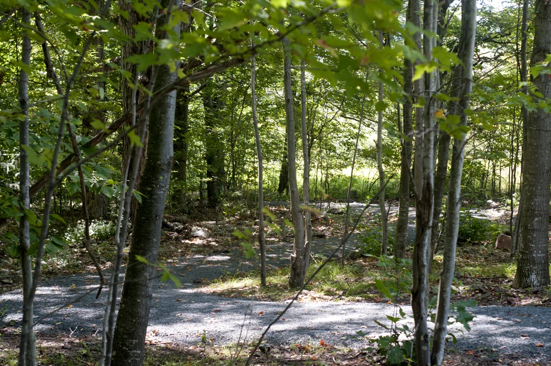 Path07LORES.jpg