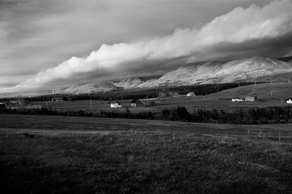 NS09061.jpg