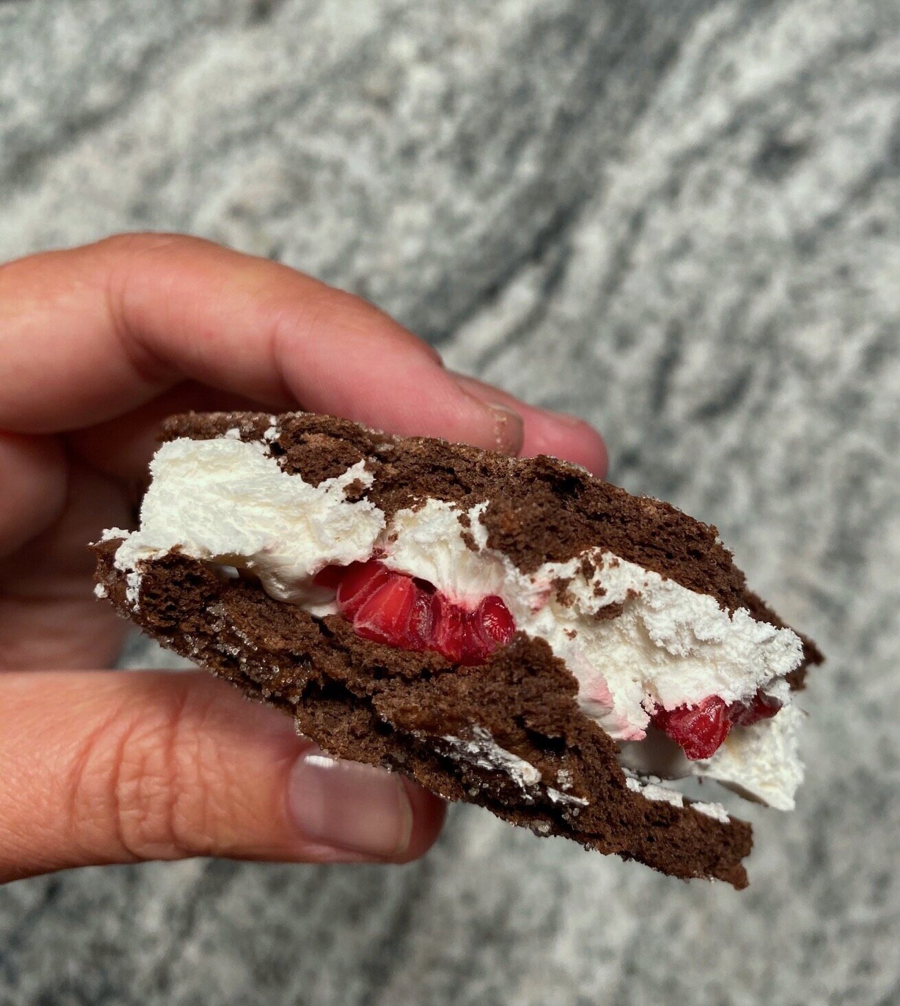DIY "Ice Cream" Sandwich, about $7 for ingredients 
