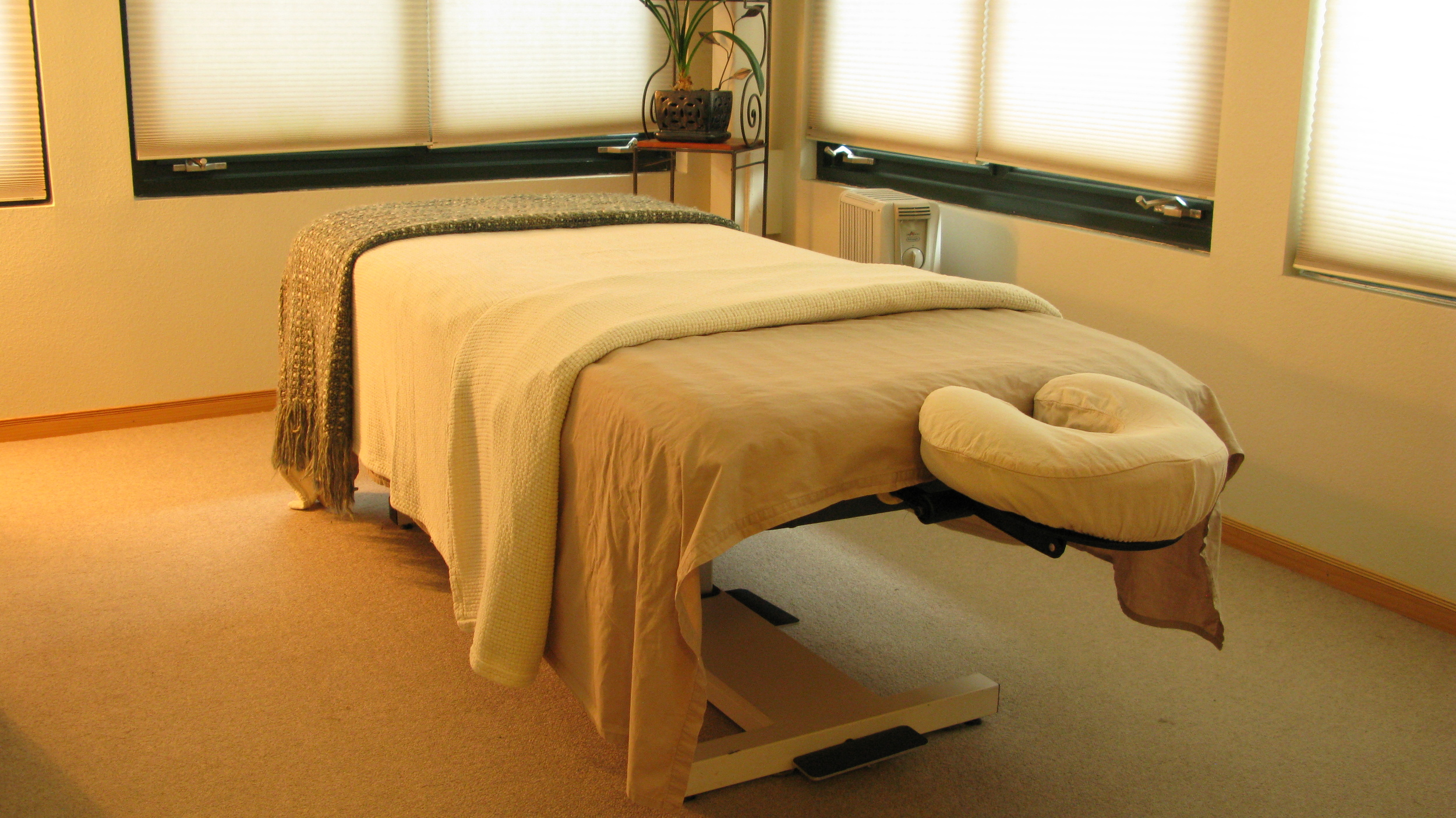 Sebastopol Treatment Room