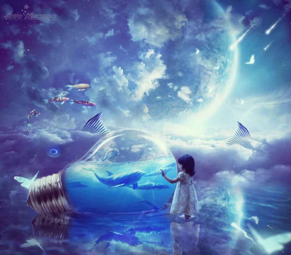 Artwork: Anto Machado