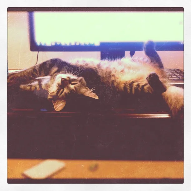 Taken with instagram