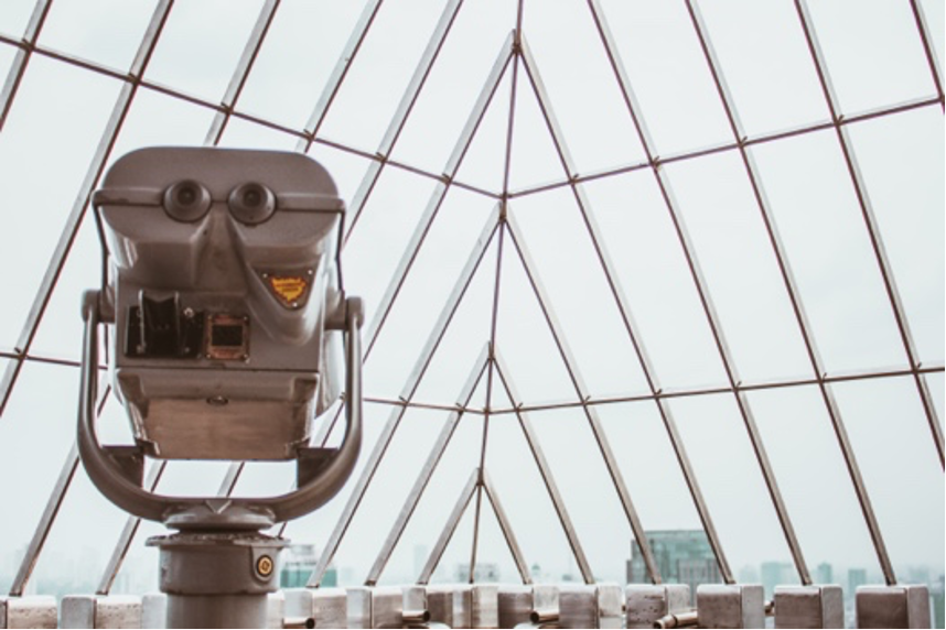 The Value of Observation (with a Dash of Instinct)