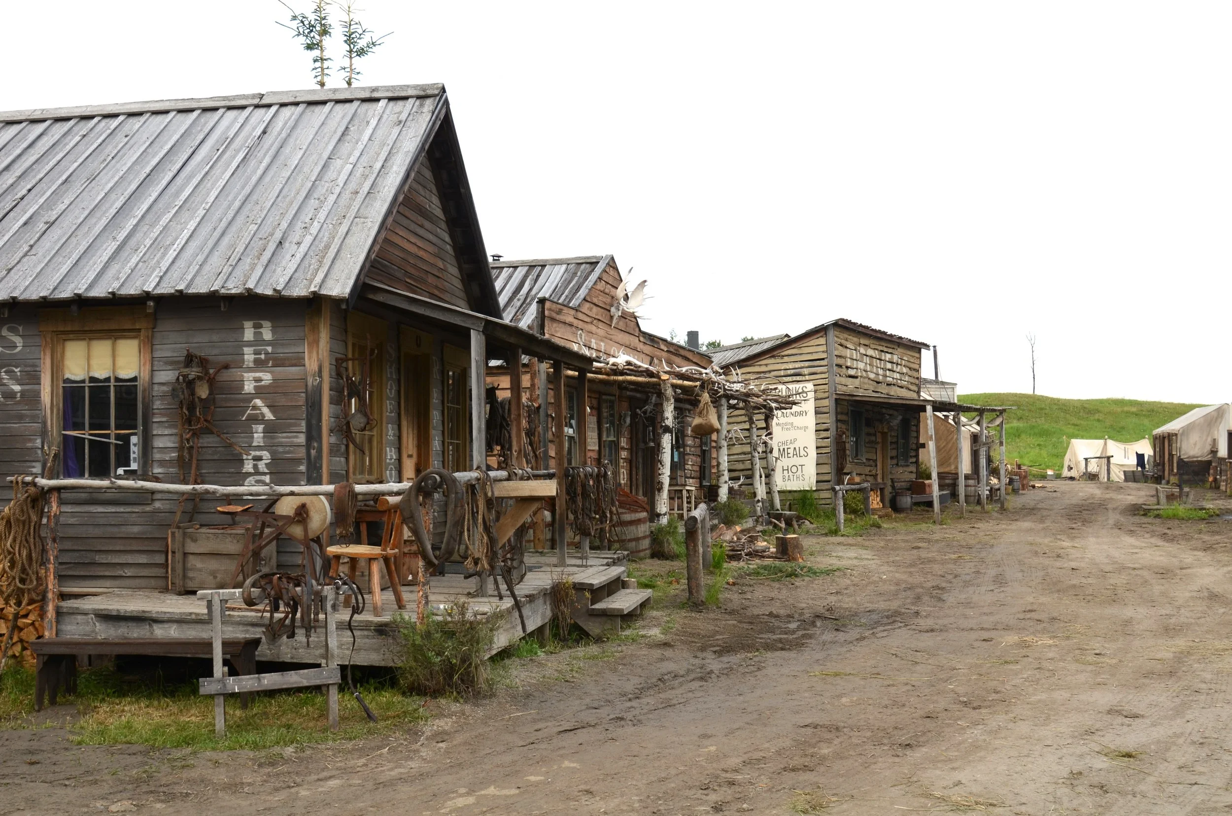 DSC_2329.jpg