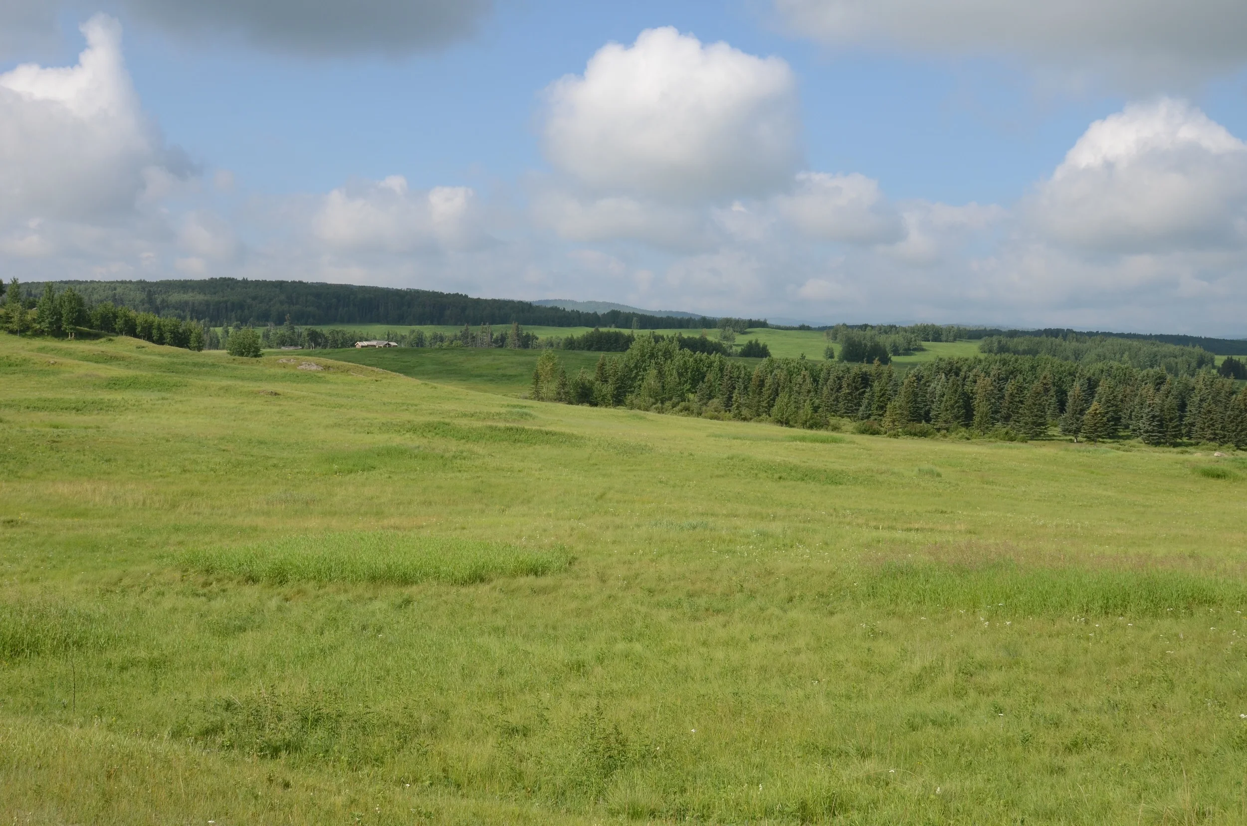 DSC_2188.jpg