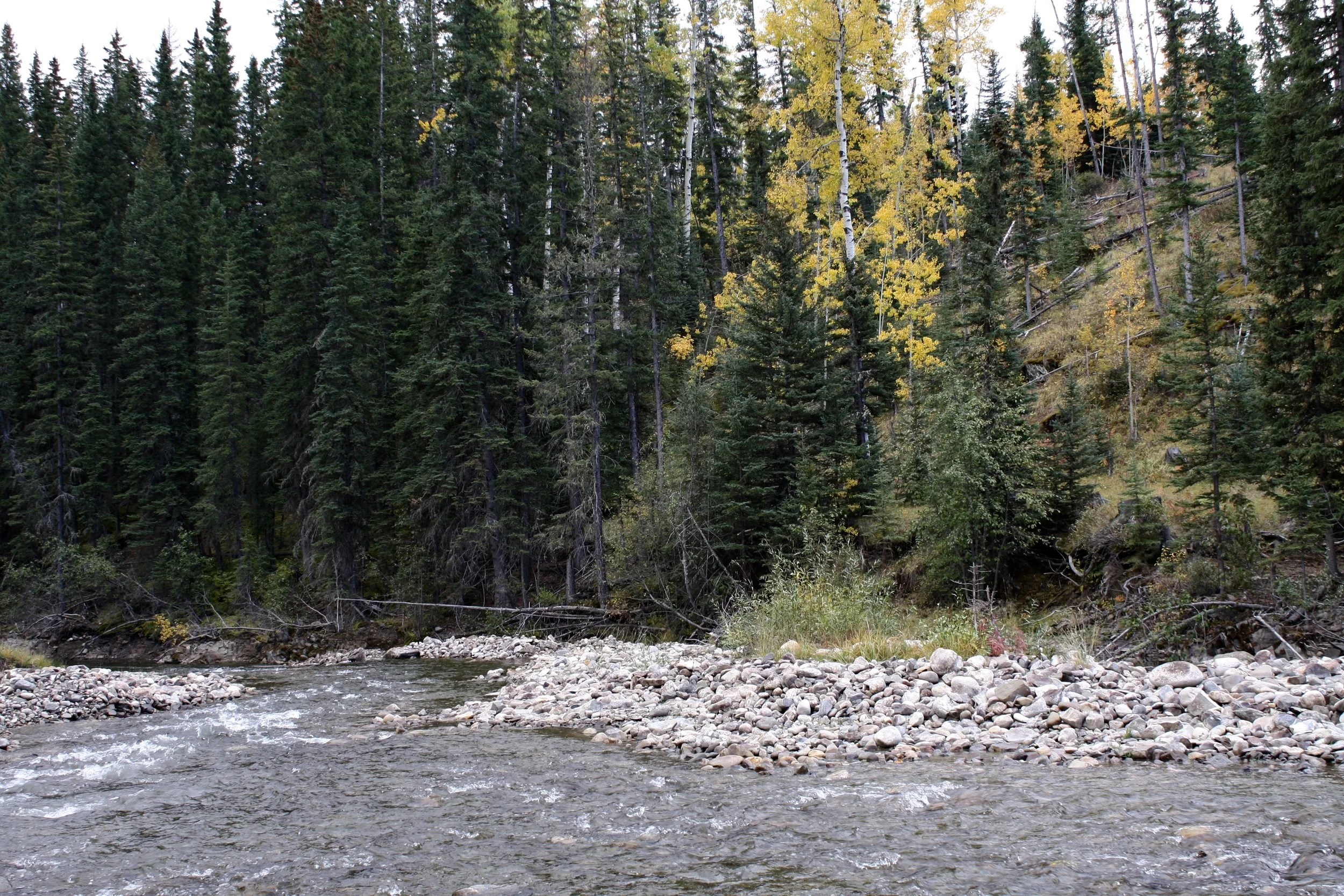 IMG_3225.jpg
